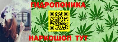 кокс Назарово