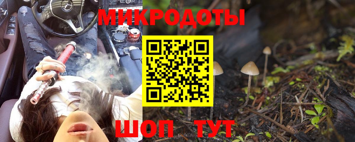 Вышний Волочёк  Псилоцибиновые грибы GOLDEN TEACHER  Вход с VPN 